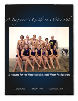 A Beginner's Guide to Water Polo