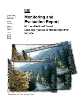 2006 Monitoring Report