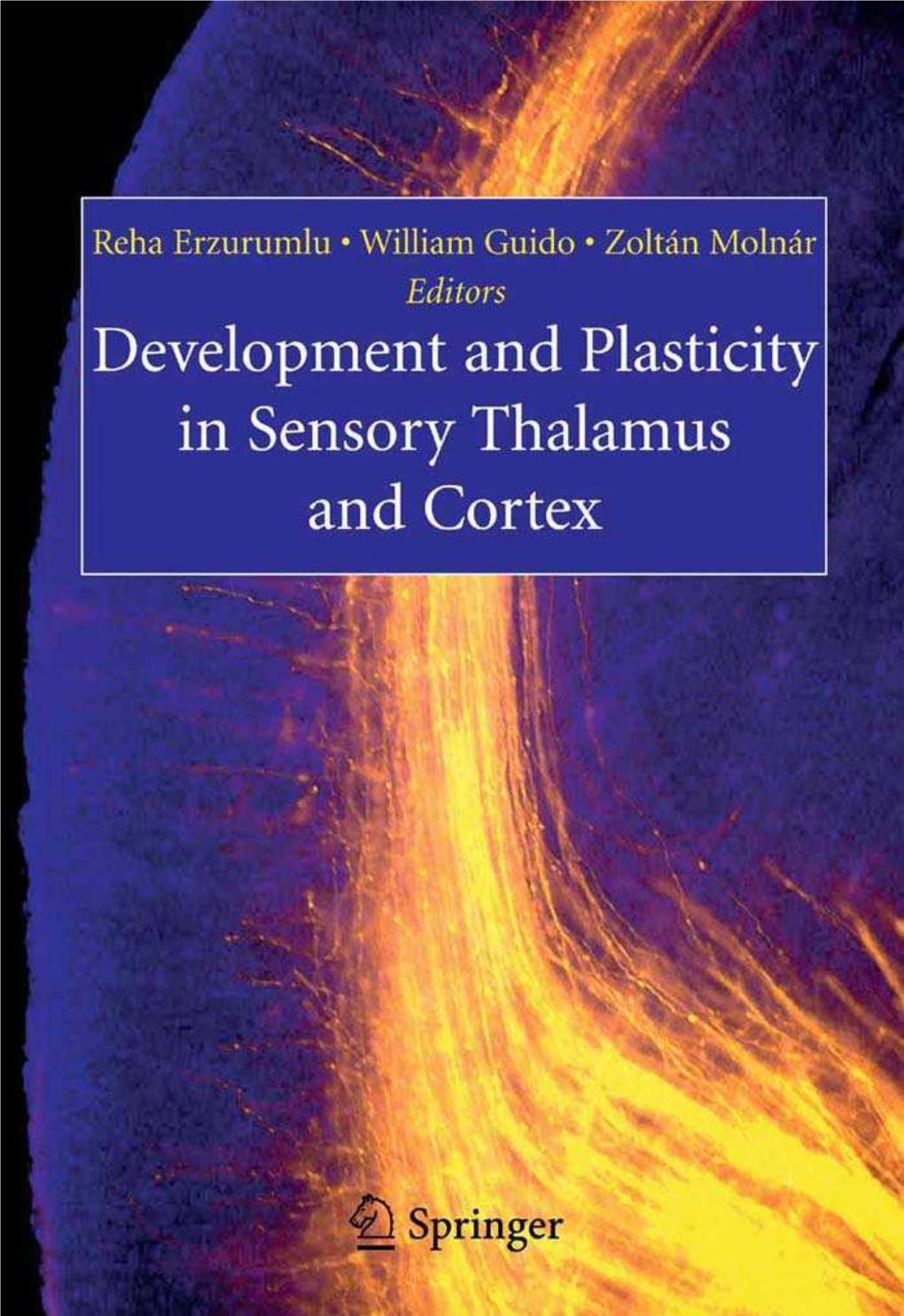 Development and Plasticity in Sensory Thalamus