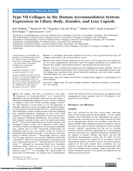 Expression in Ciliary Body, Zonules, and Lens Capsule