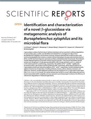 Identification and Characterization of a Novel Β-Glucosidase Via