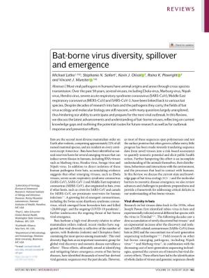 Bat-Borne Virus Diversity, Spillover and Emergence