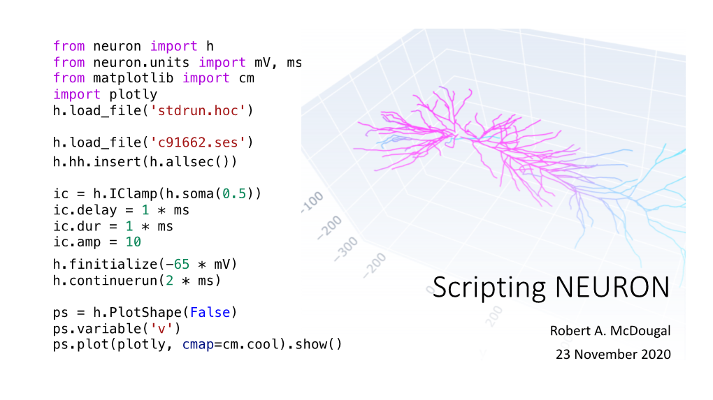 Neuron2020day3a.Pdf • a Script Is a File with Computer-Readable Instructions for Performing a Task