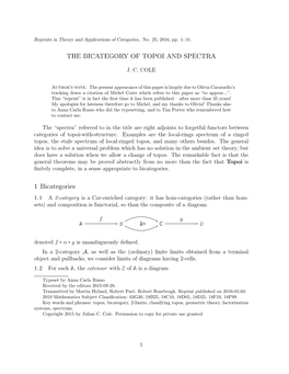 The Bicategory of Topoi, and Spectra