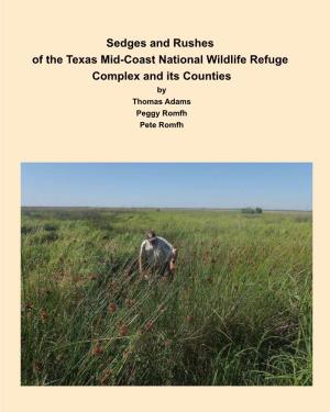 Sedges and Rushes of the Texas Mid-Coast National Wildlife Refuge Complex and Its Counties by Thomas Adams Peggy Romfh Pete Romfh