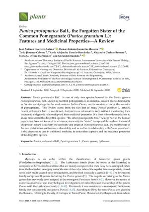 Punica Granatum L.): Features and Medicinal Properties—A Review