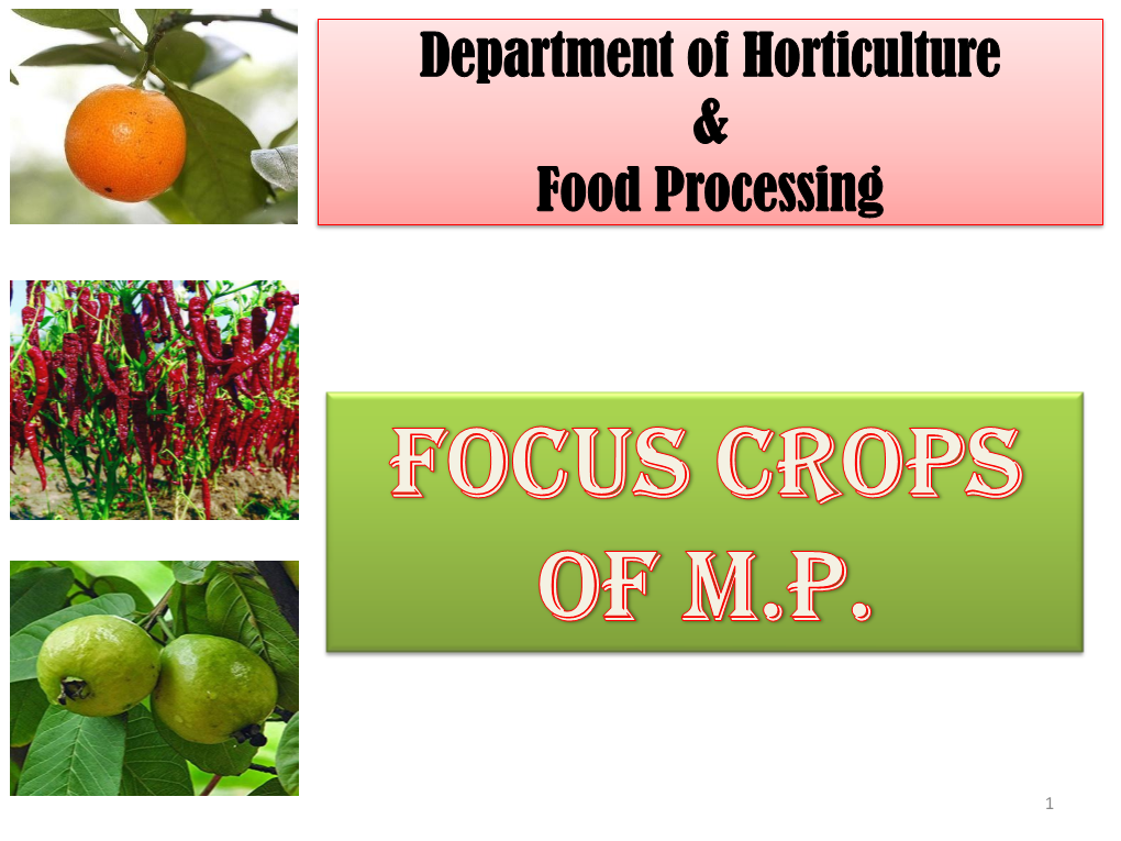 Department of Horticulture & Food Processing