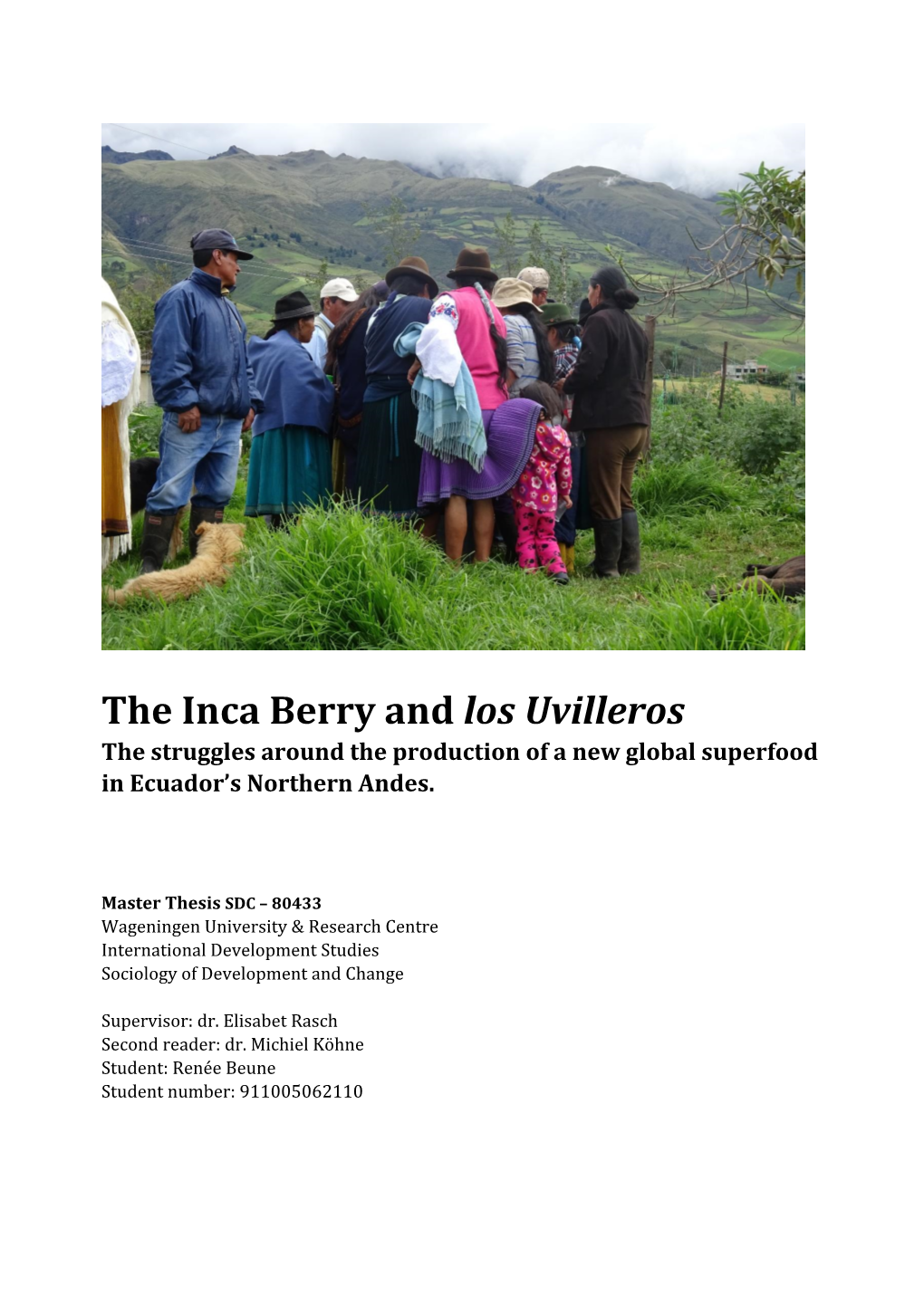 The Inca Berry in Ecuador