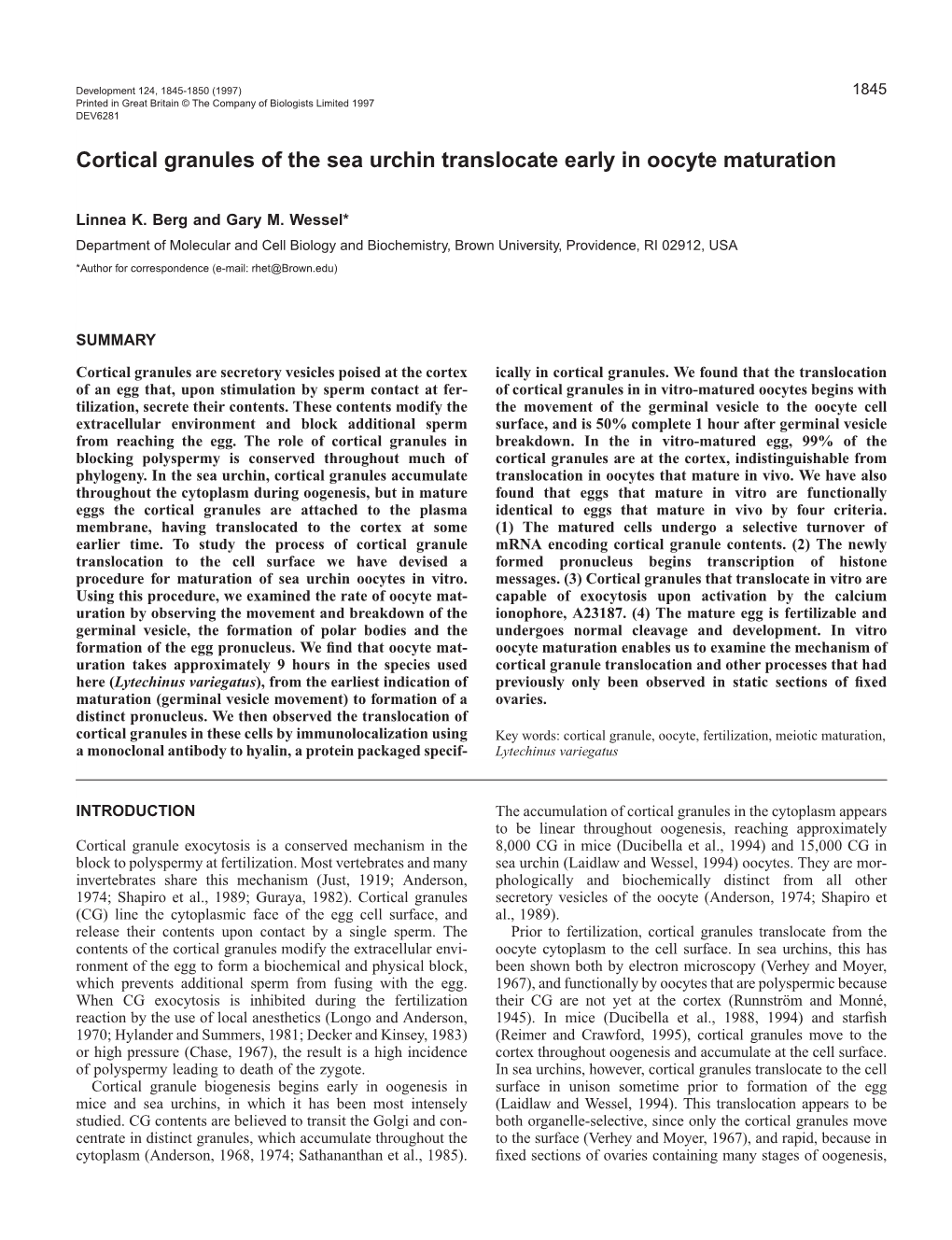 Cortical Granules of the Sea Urchin Translocate Early in Oocyte Maturation