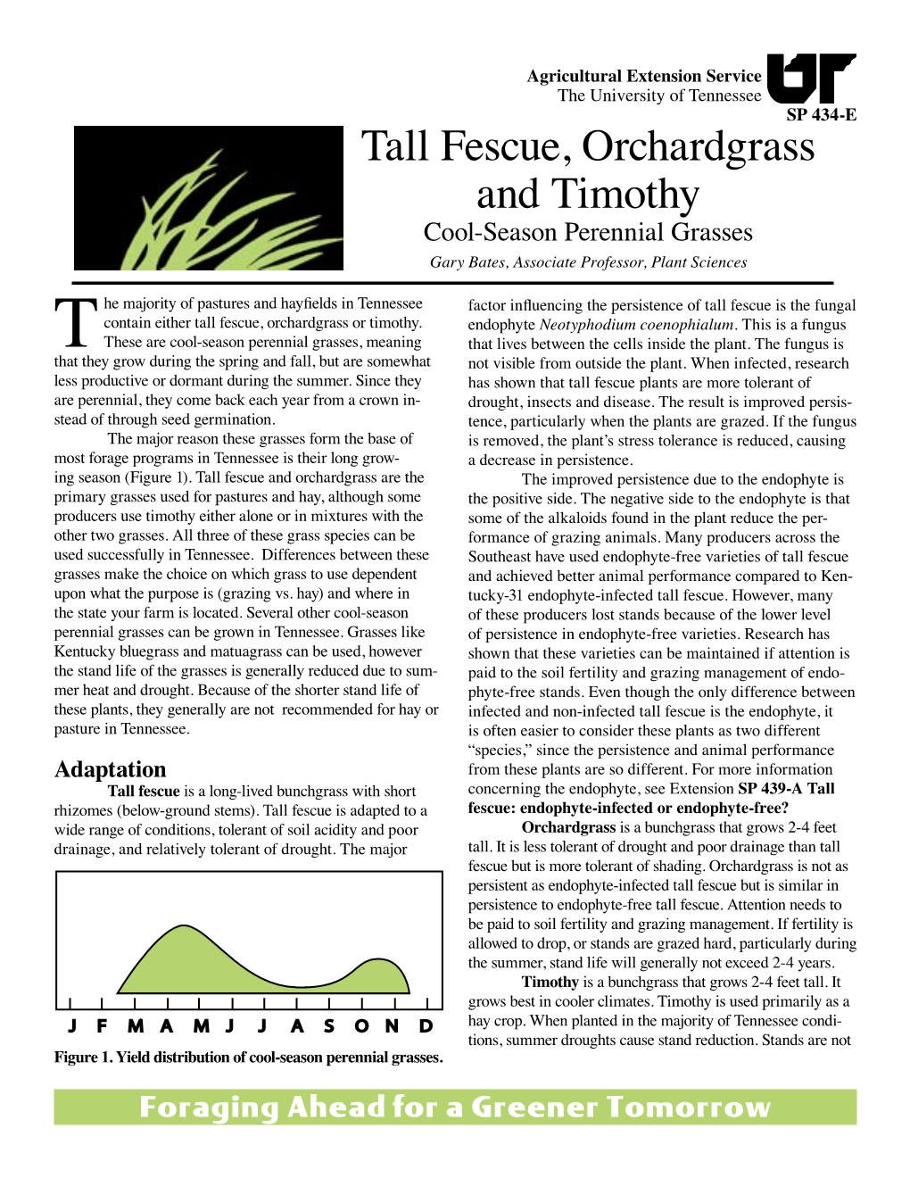 SP434-E Tall Fescue, Orchardgrass and Timothy