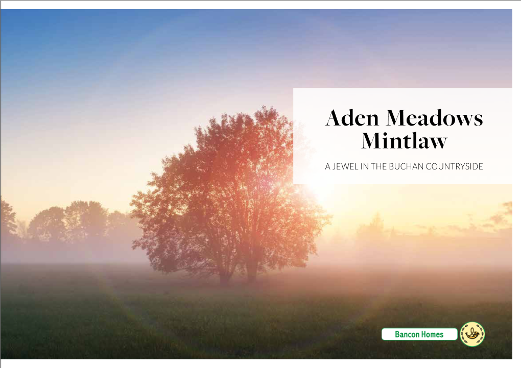 Aden Meadows Mintlaw