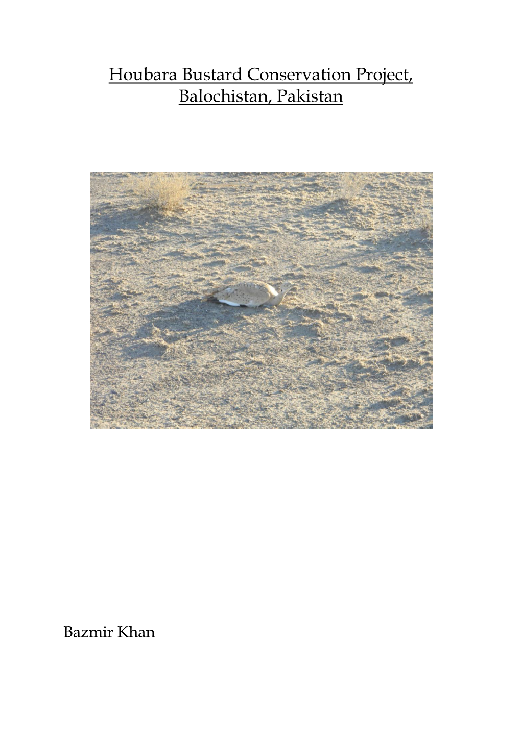 P975 Houbara Bustard Conservation Project, Balochistan, Pakistan