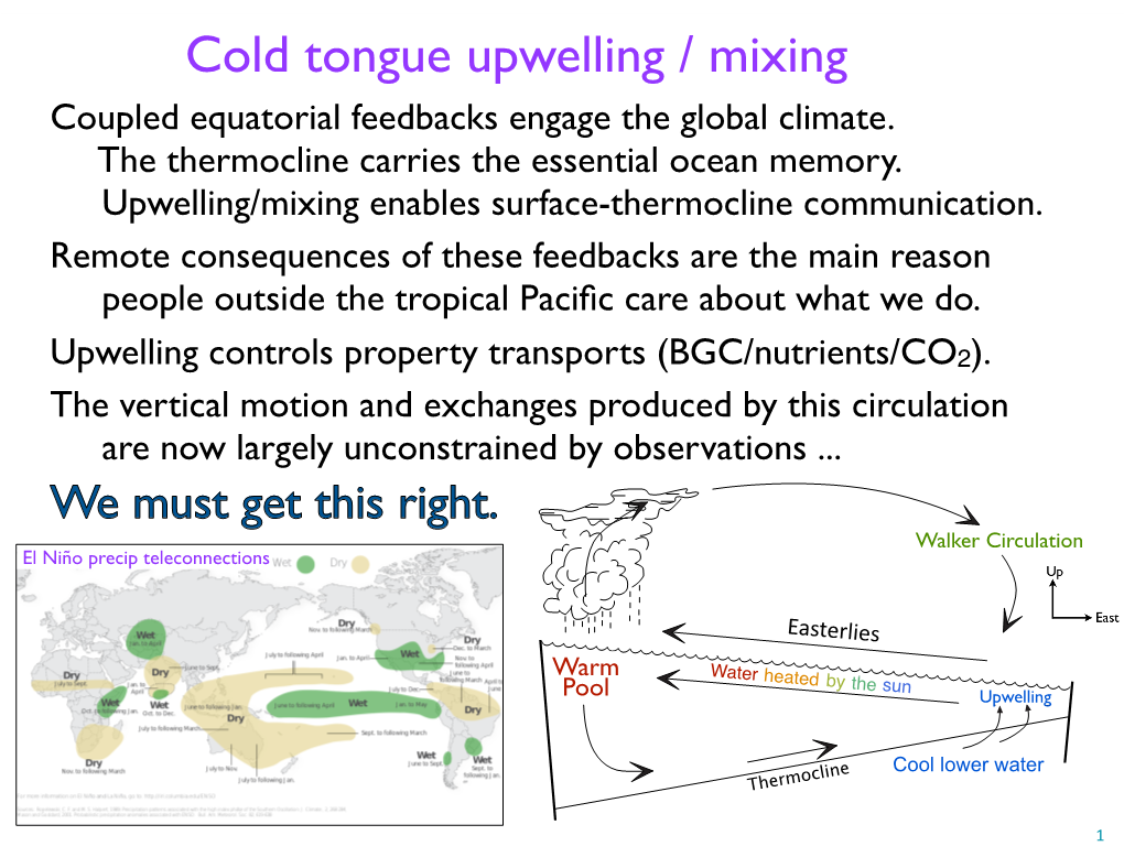 Cold Tongue Upwelling / Mixing Coupled Equatorial Feedbacks Engage the Global Climate