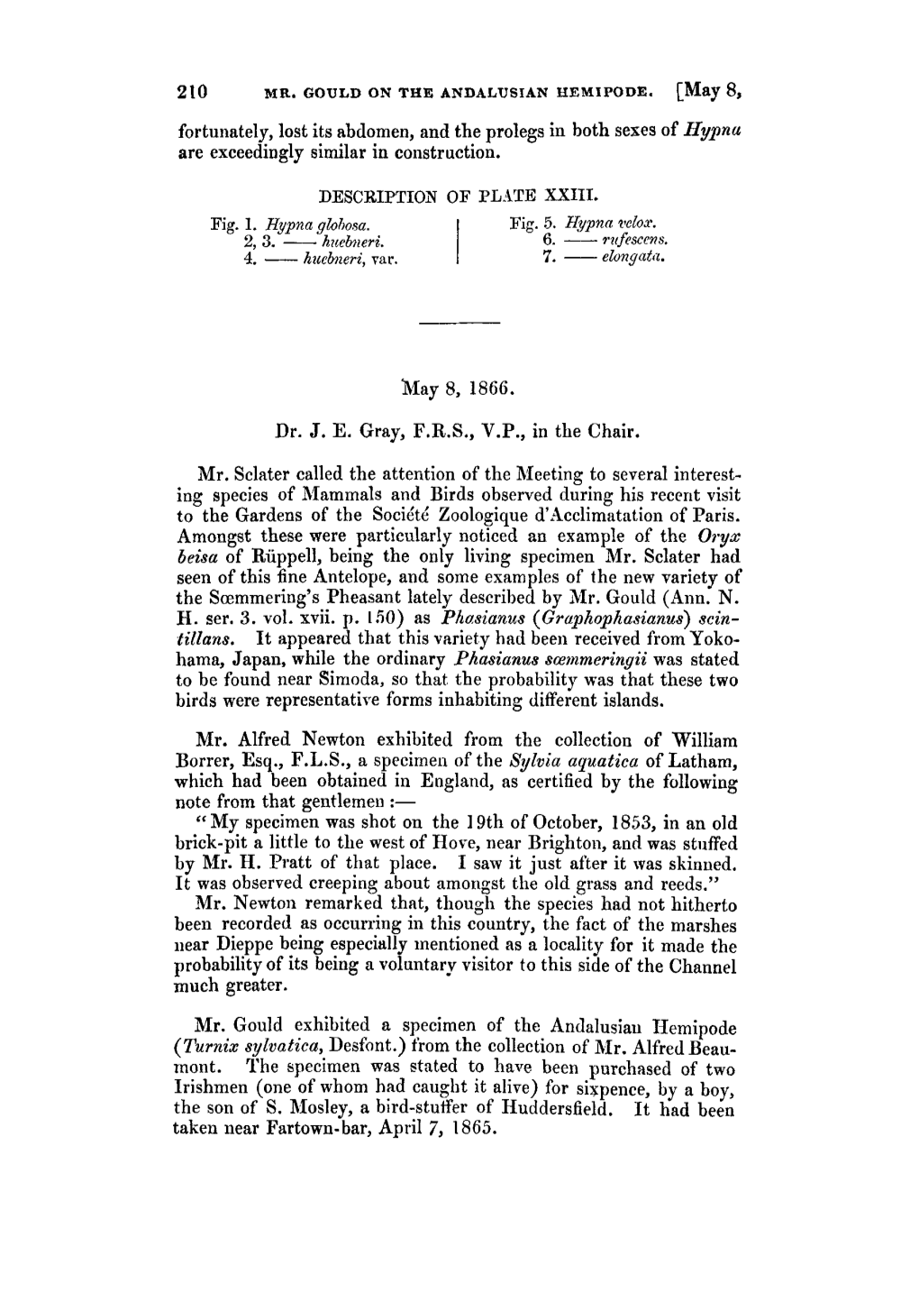 May 8, Fortunately, Lost Its Abdomen, and the Prolegs in Both Sexes of Hypnu Are Exceedingly Similar in Construction