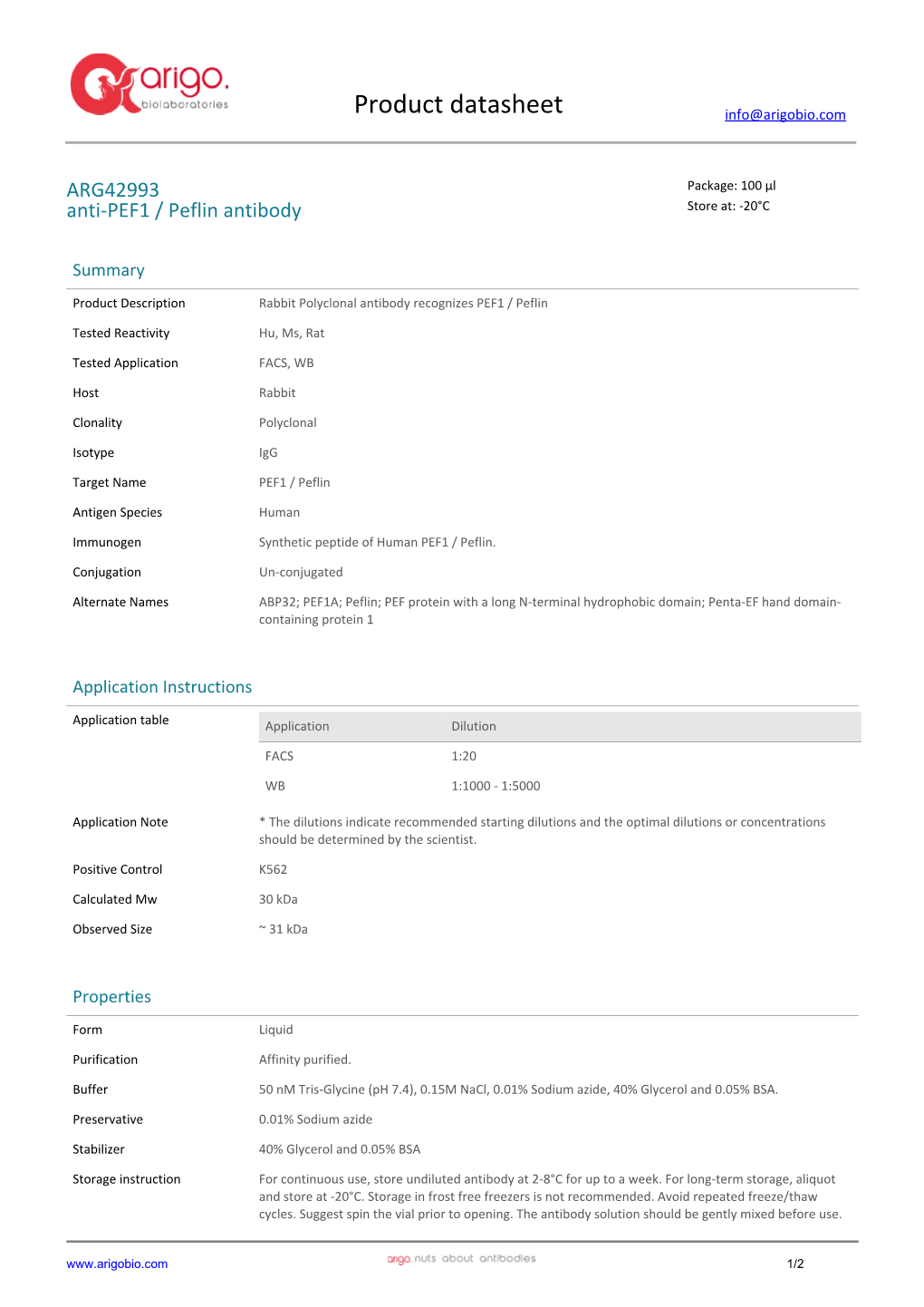 Anti-PEF1 / Peflin Antibody (ARG42993)