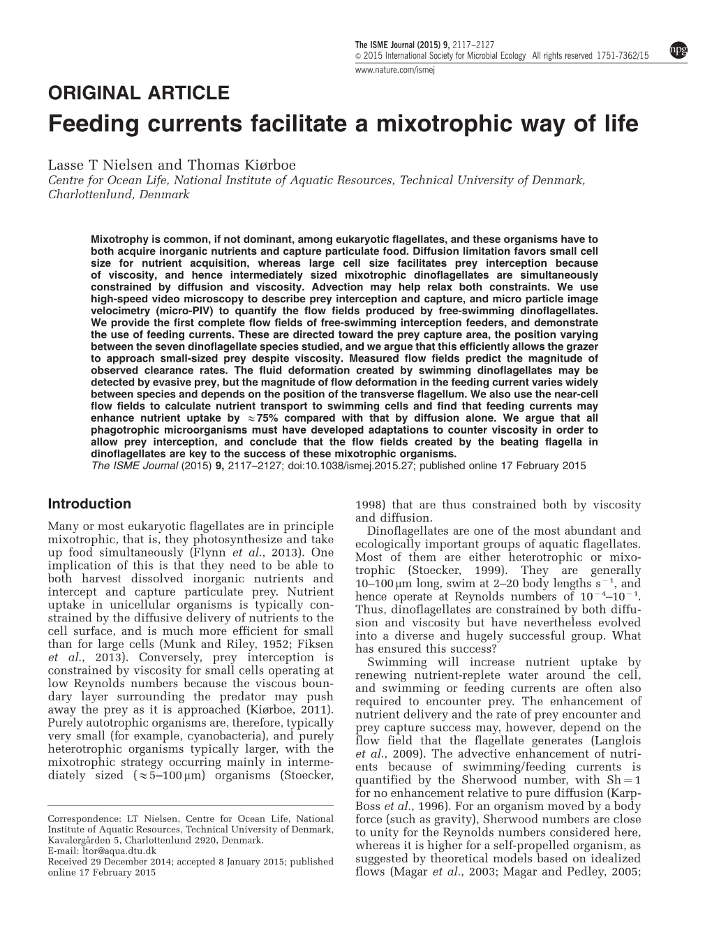 Feeding Currents Facilitate a Mixotrophic Way of Life