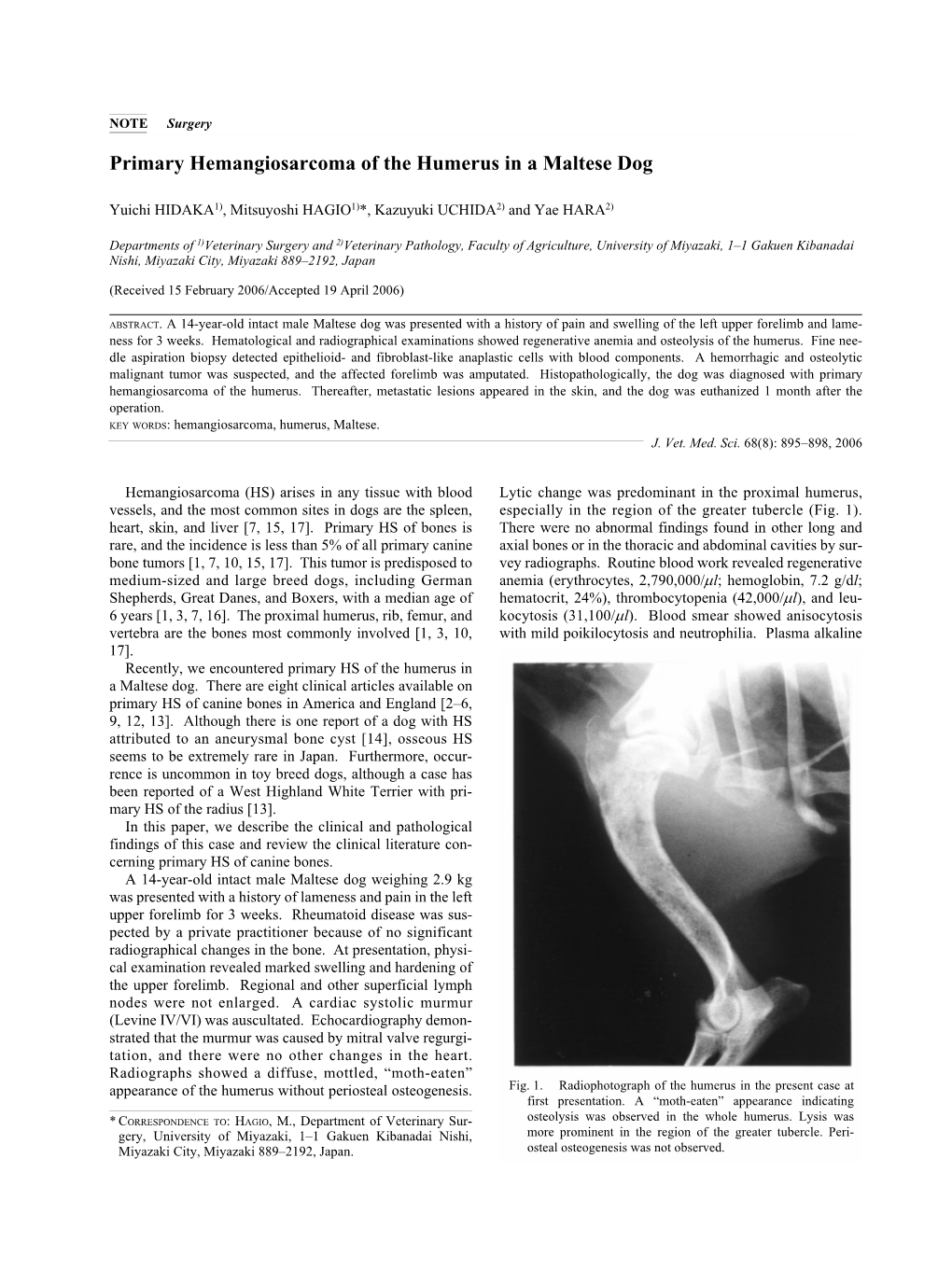 Primary Hemangiosarcoma of the Humerus in a Maltese Dog