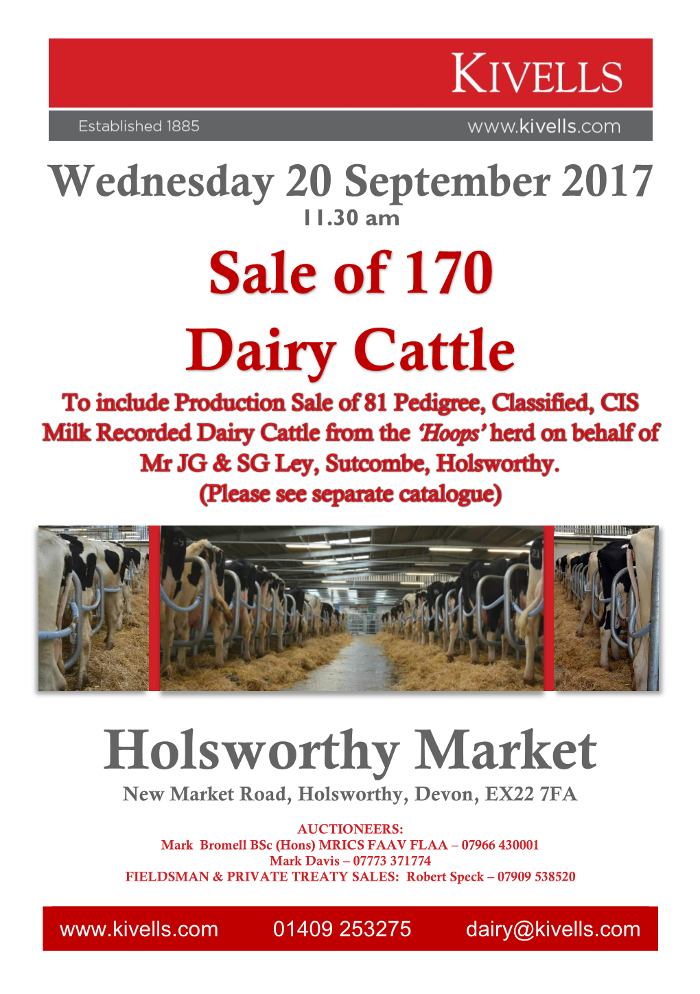 Sale of 170 Dairy Cattle