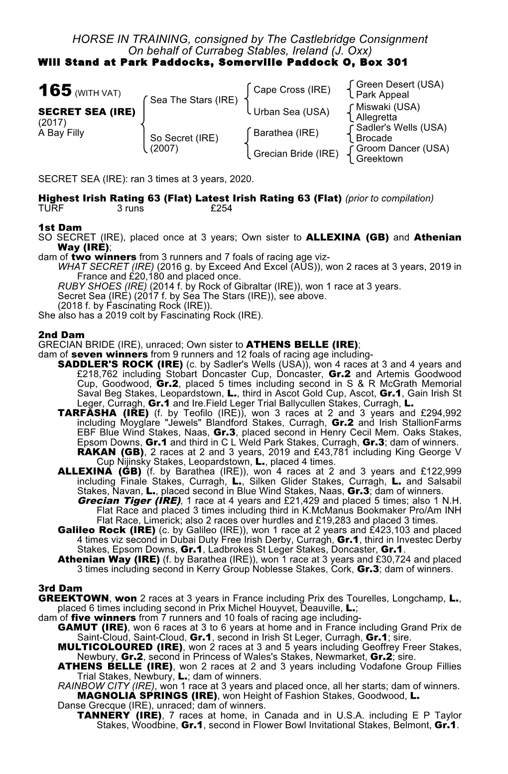 HORSE in TRAINING, Consigned by the Castlebridge Consignment on Behalf of Currabeg Stables, Ireland (J