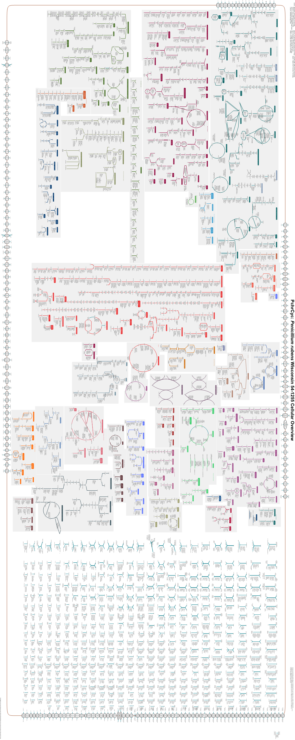 Generate Metabolic Map Poster