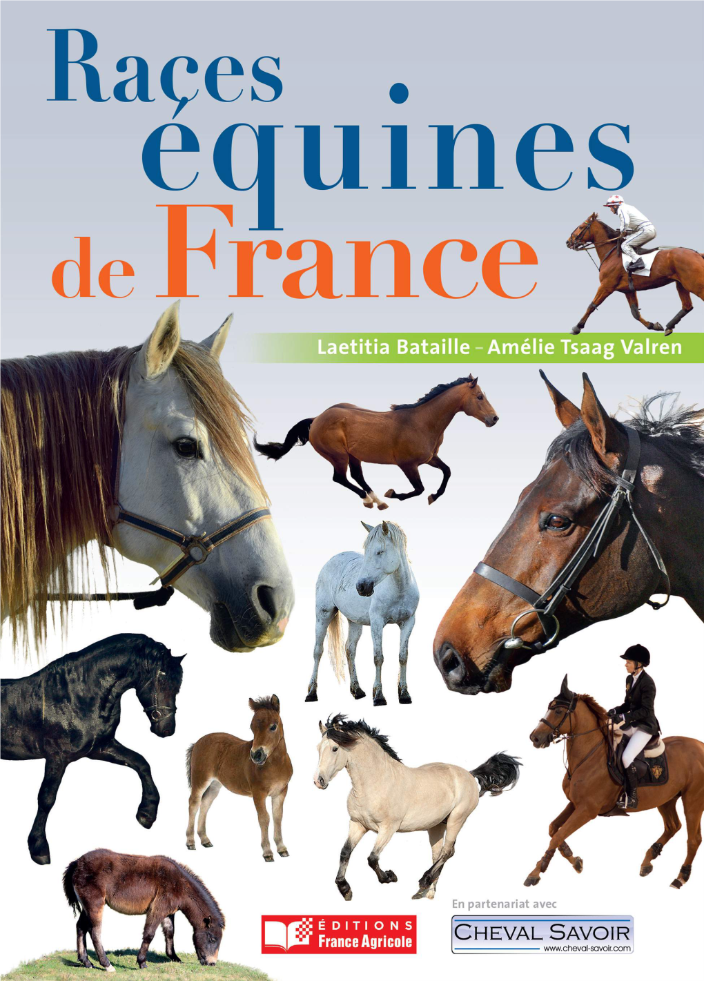 Races Equines De France