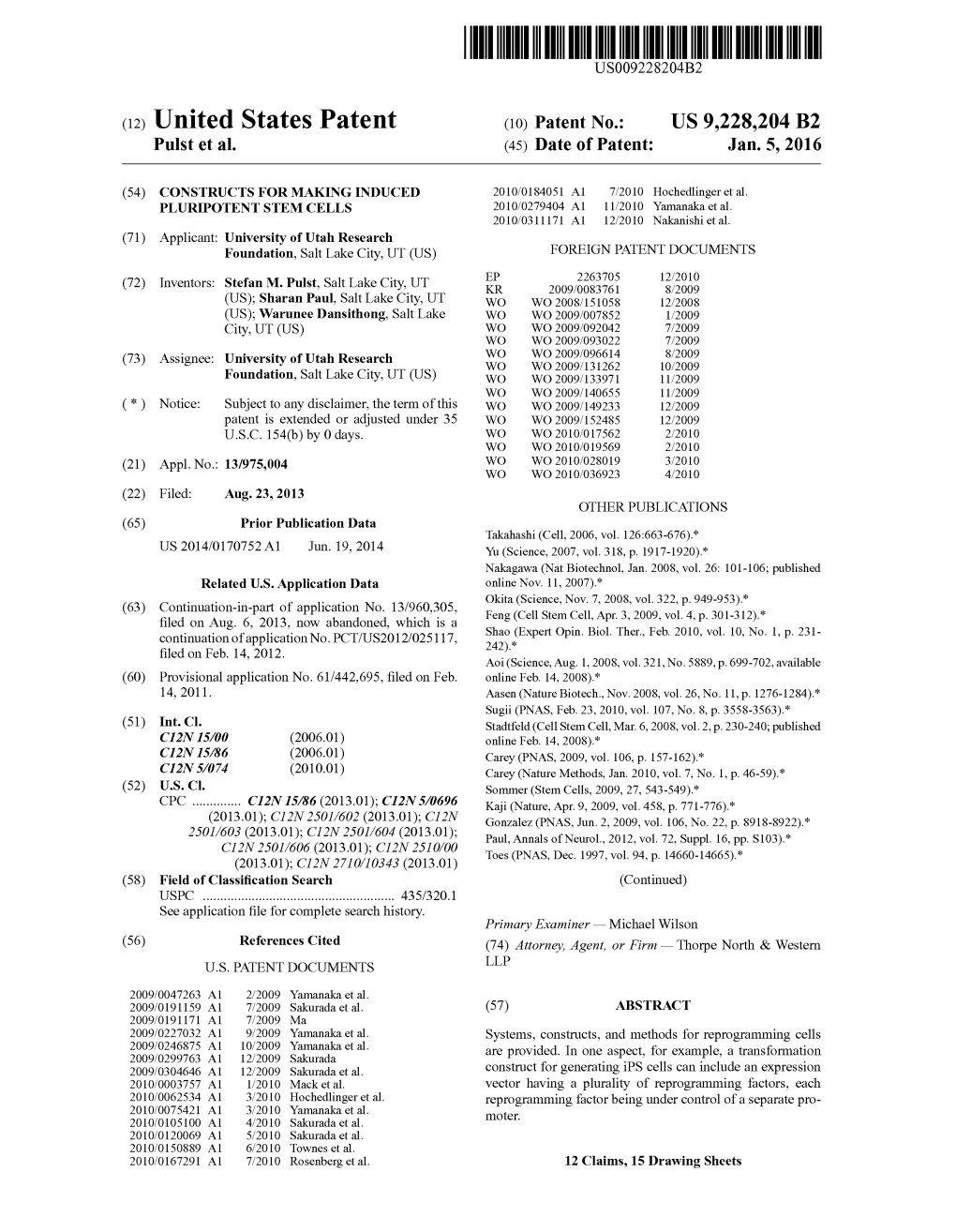 (12) United States Patent (10) Patent No.: US 9.228,204 B2 Pulst Et Al