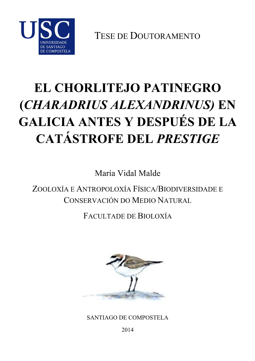 El Chorlitejo Patinegro (Charadrius Alexandrinus) En Galicia Antes Y Después De La Catástrofe Del Prestige