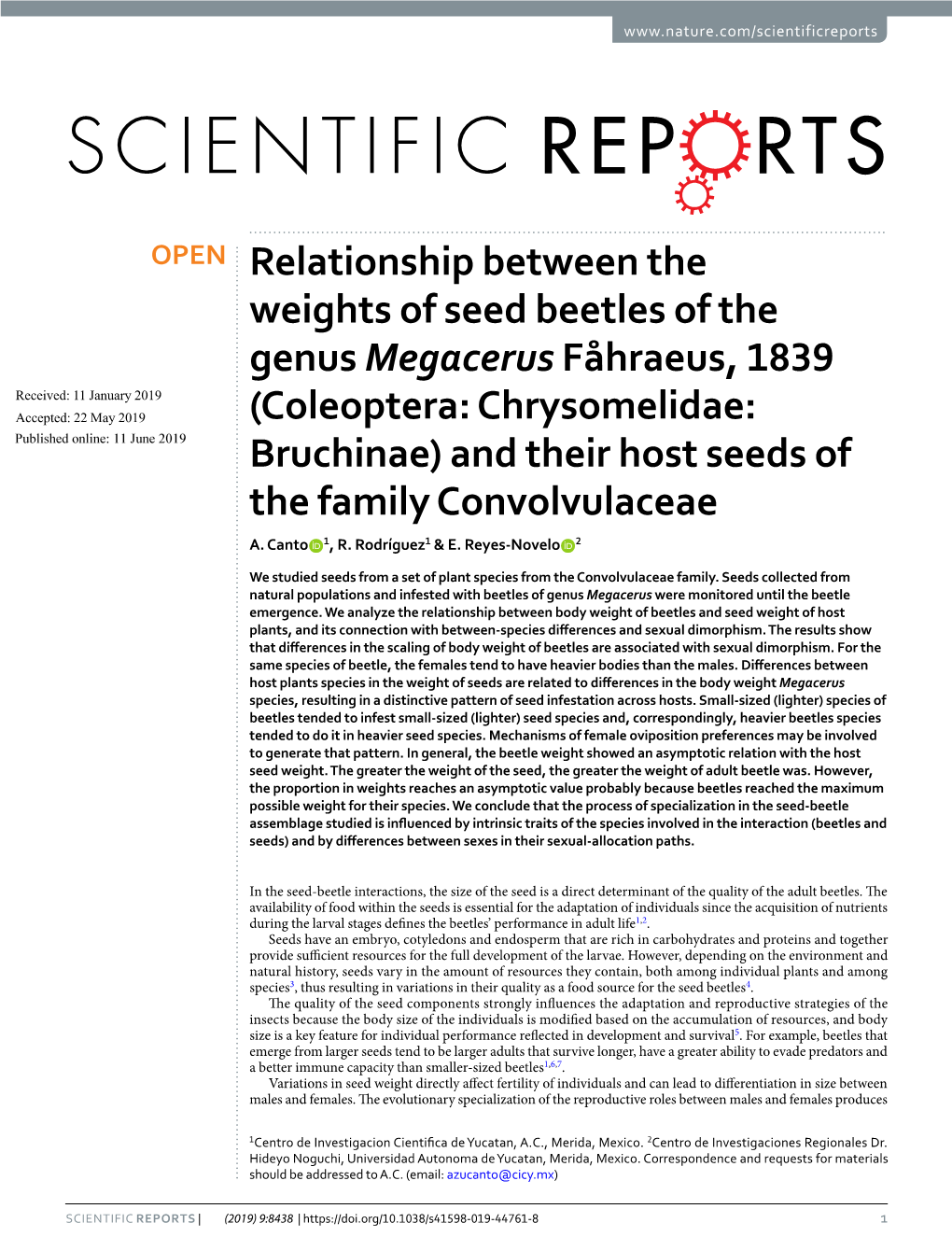 Relationship Between the Weights of Seed Beetles of the Genus