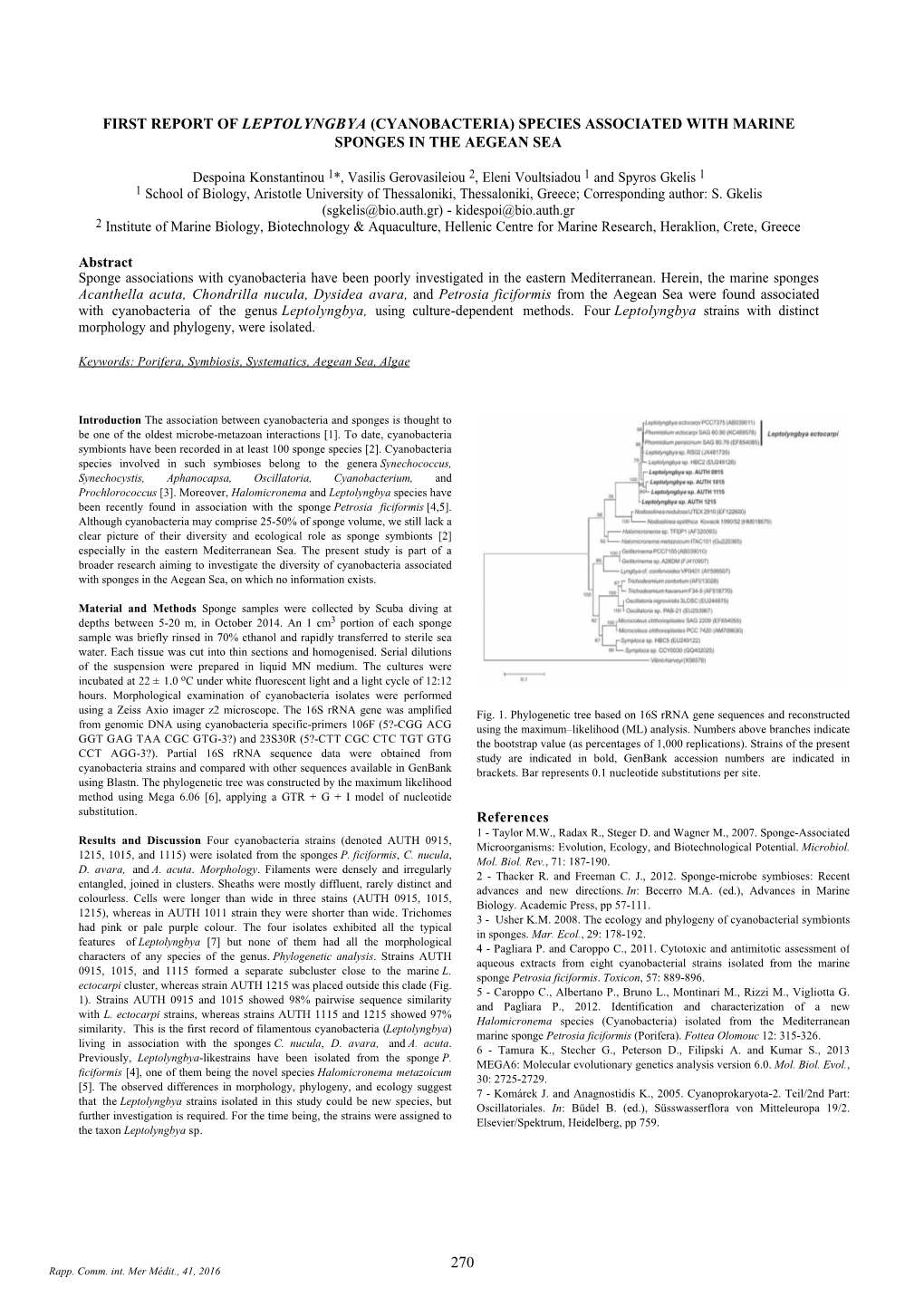 First Report of Leptolyngbya (Cyanobacteria) Species Associated with Marine Sponges in the Aegean Sea