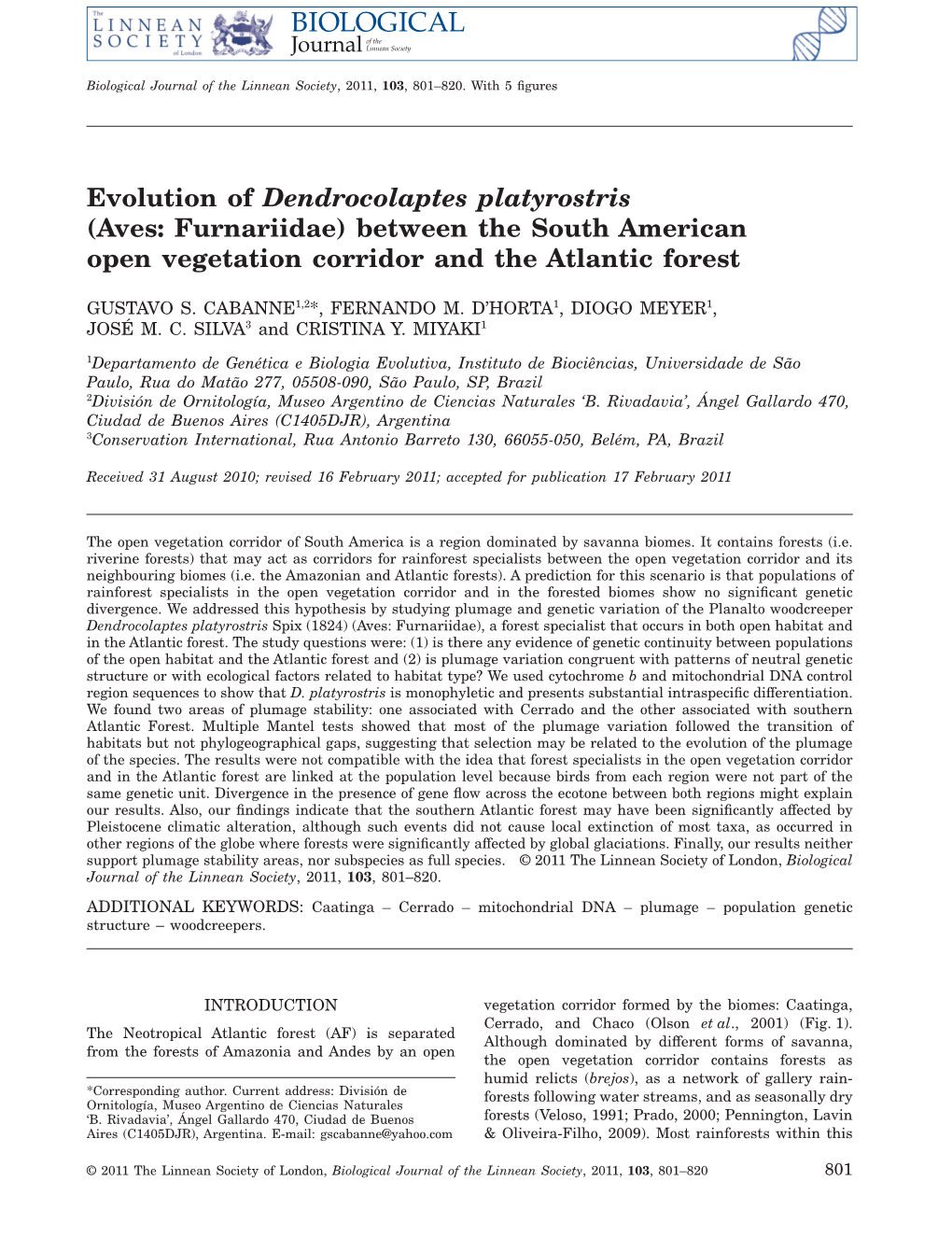 Evolution of Dendrocolaptes Platyrostris (Aves: Furnariidae) Between the South American Open Vegetation Corridor and the Atlantic Forest