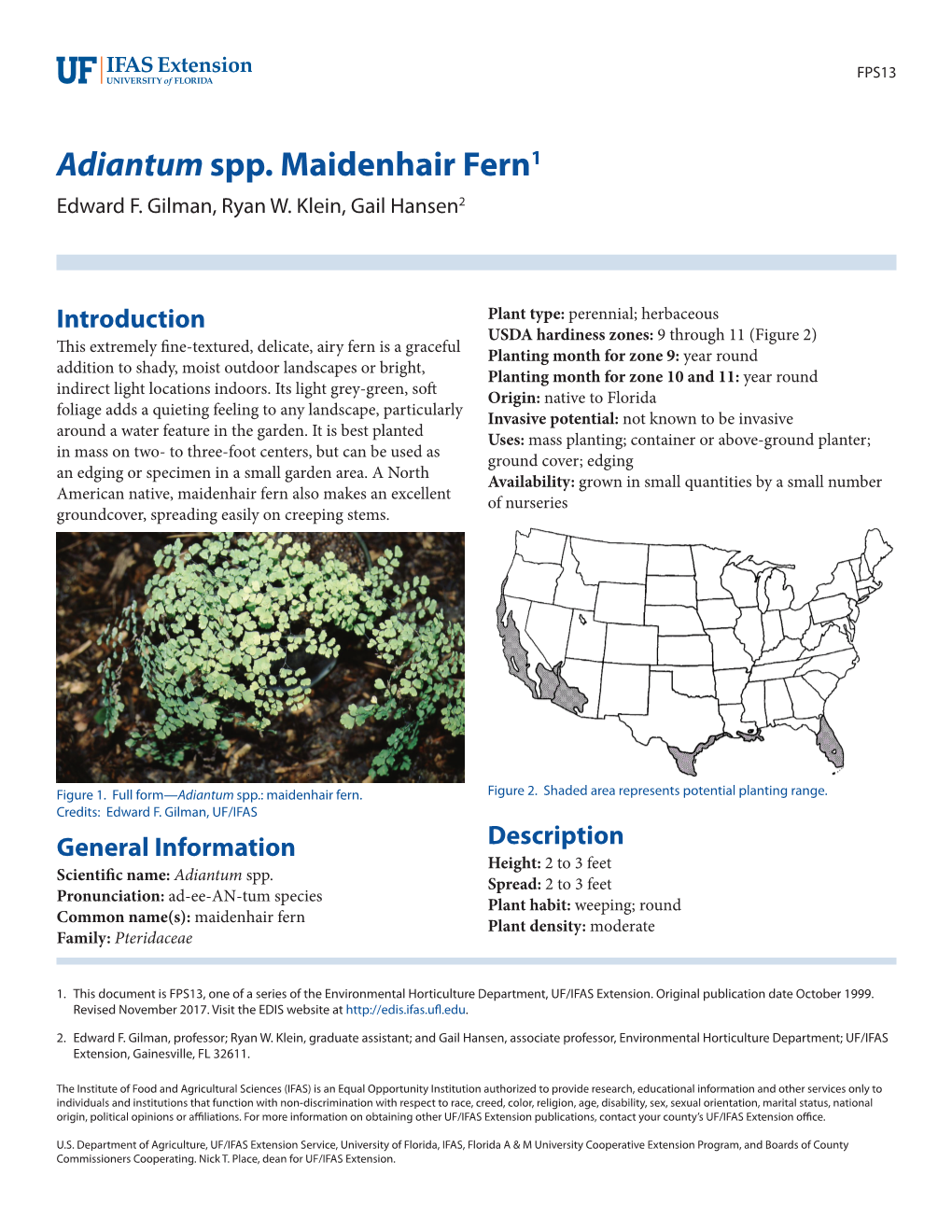 Adiantum Spp. Maidenhair Fern1 Edward F