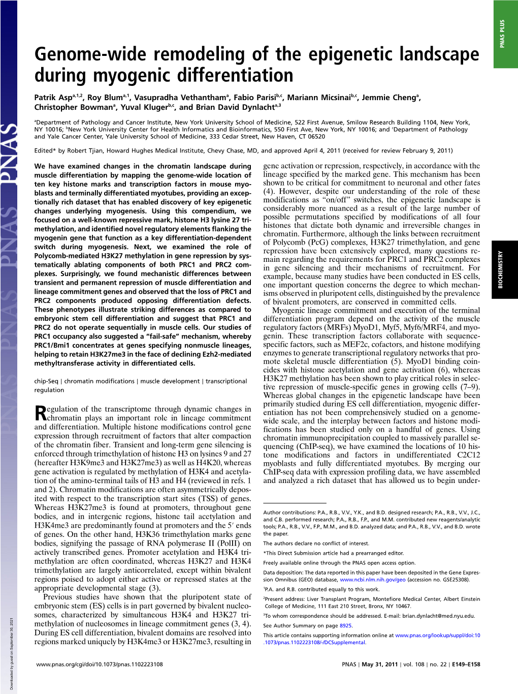 Genome-Wide Remodeling of the Epigenetic Landscape During