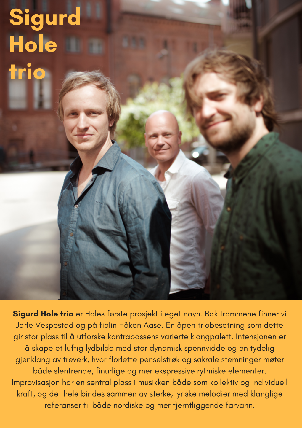 Sigurd Hole Trio Norsk