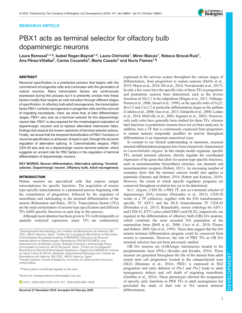 PBX1 Acts As Terminal Selector for Olfactory Bulb Dopaminergic Neurons