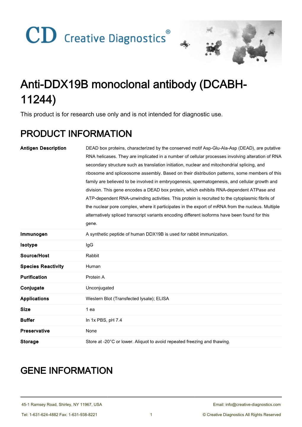 Anti-DDX19B Monoclonal Antibody (DCABH- 11244) This Product Is for Research Use Only and Is Not Intended for Diagnostic Use