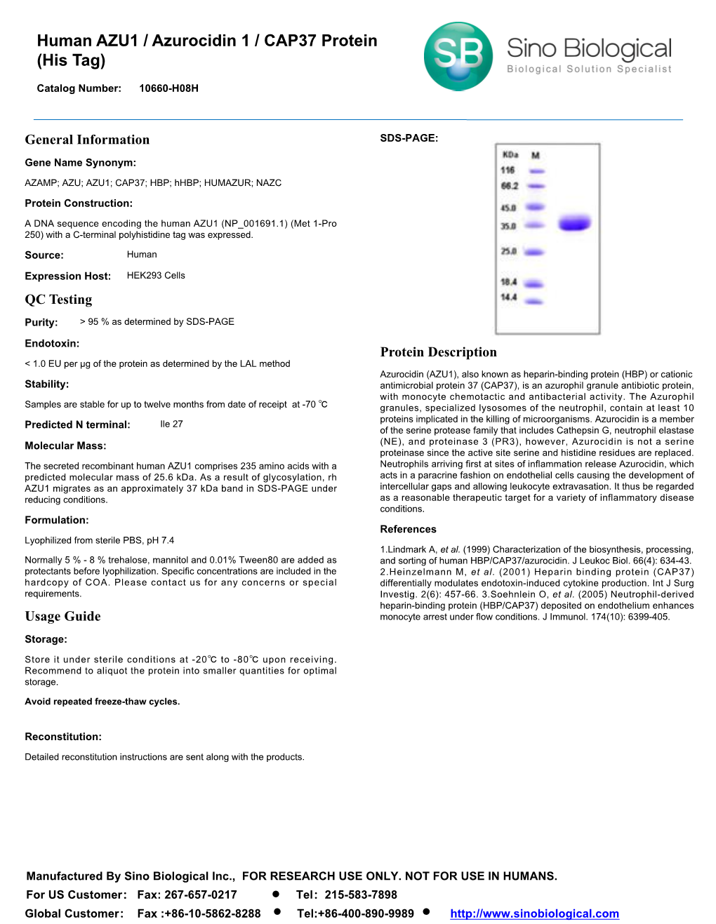 Human AZU1 / Azurocidin 1 / CAP37 Protein (His Tag)