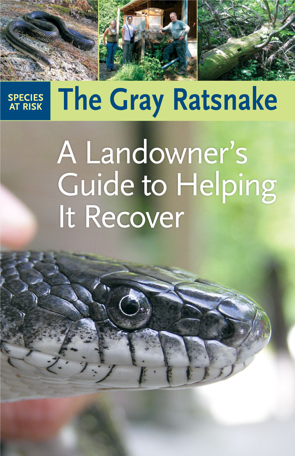 A Landowner's Guide to Helping It Recover