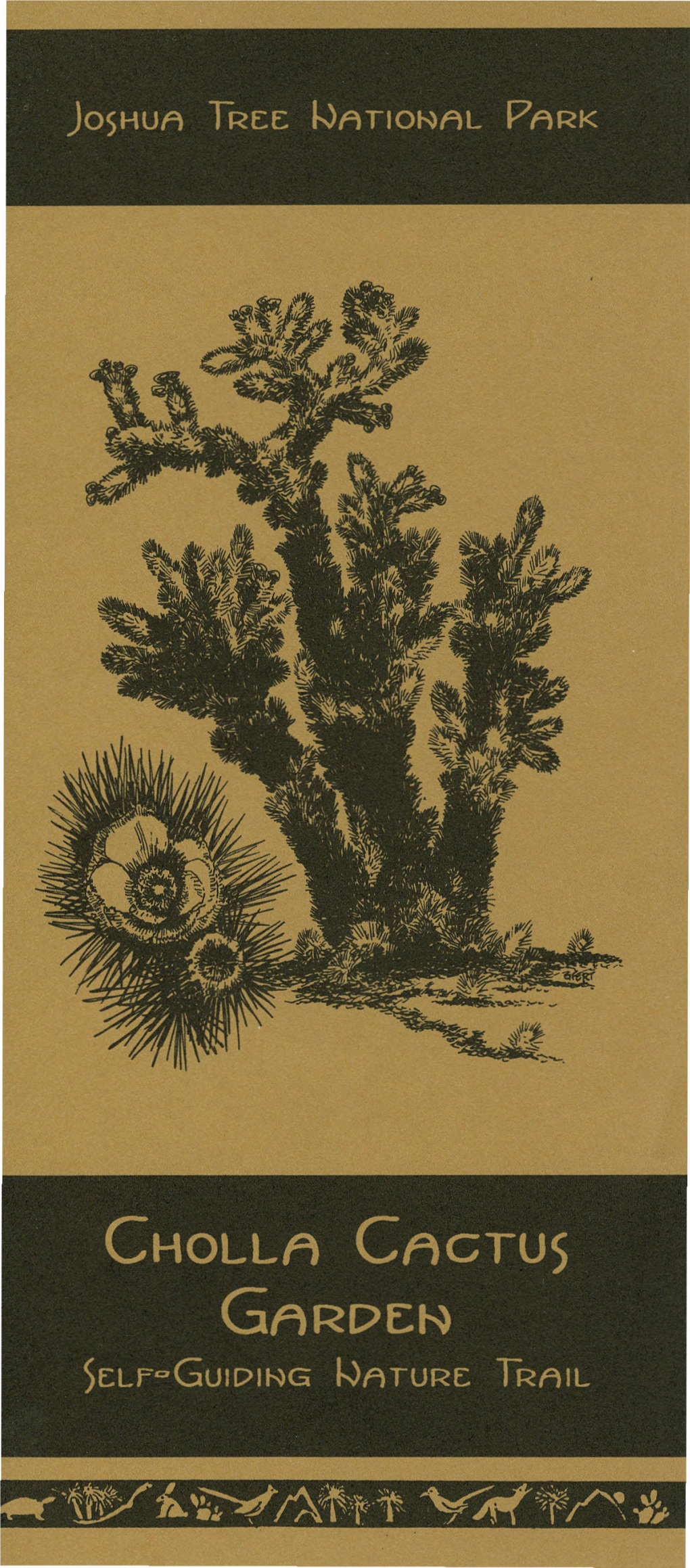 Cholla-Cactus-Garden-2000S.Pdf