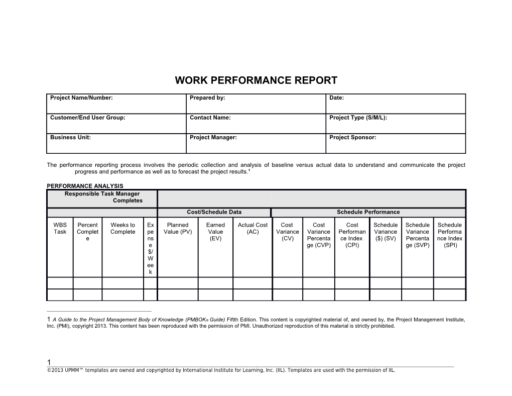 Project Performance Report