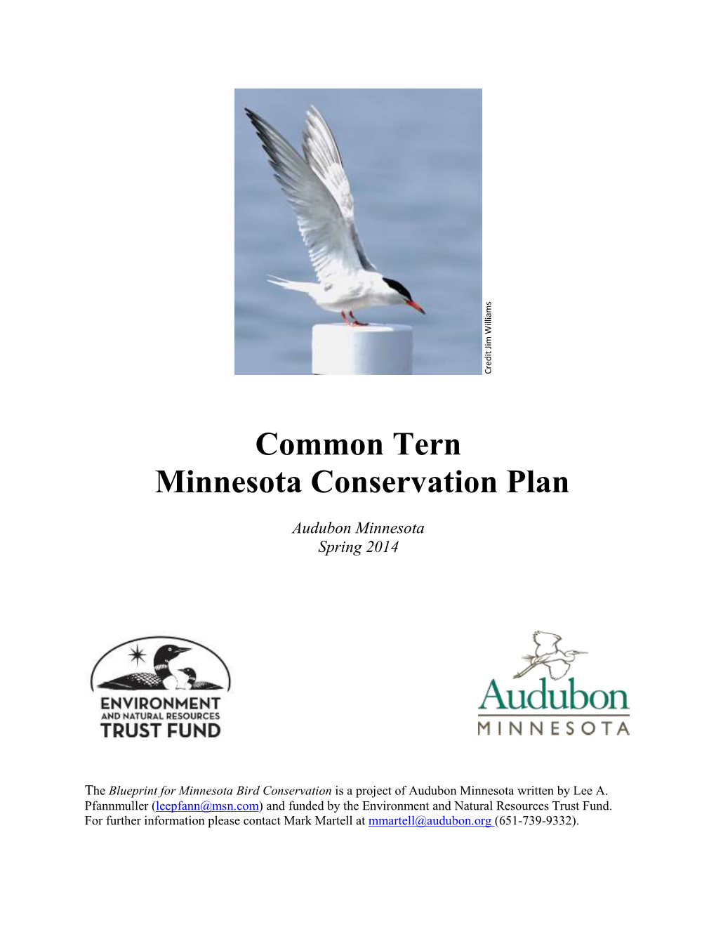 Common Tern Minnesota Conservation Plan