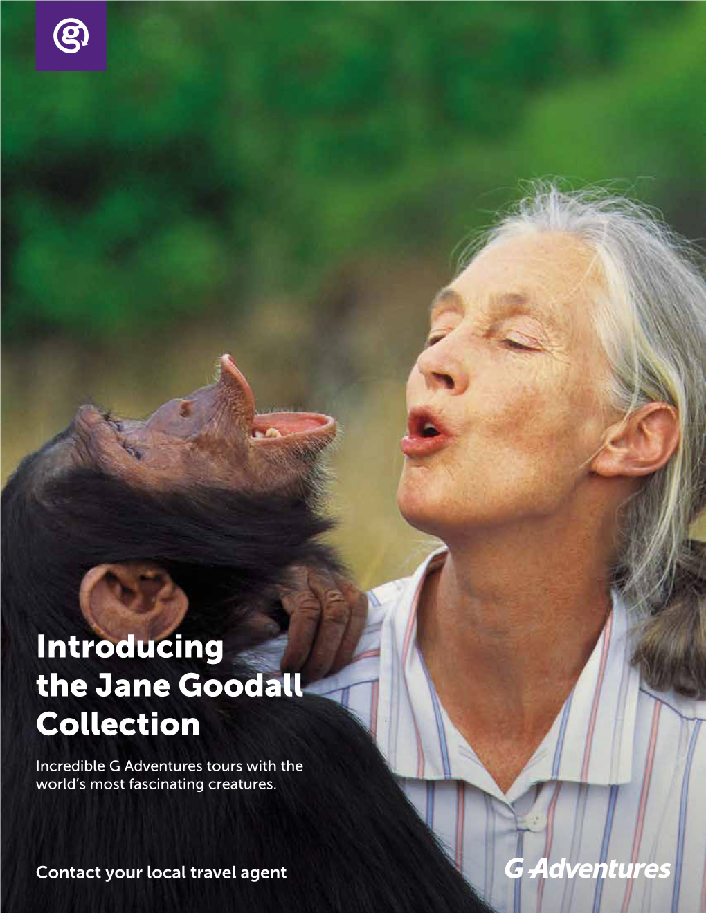 Introducing the Jane Goodall Collection
