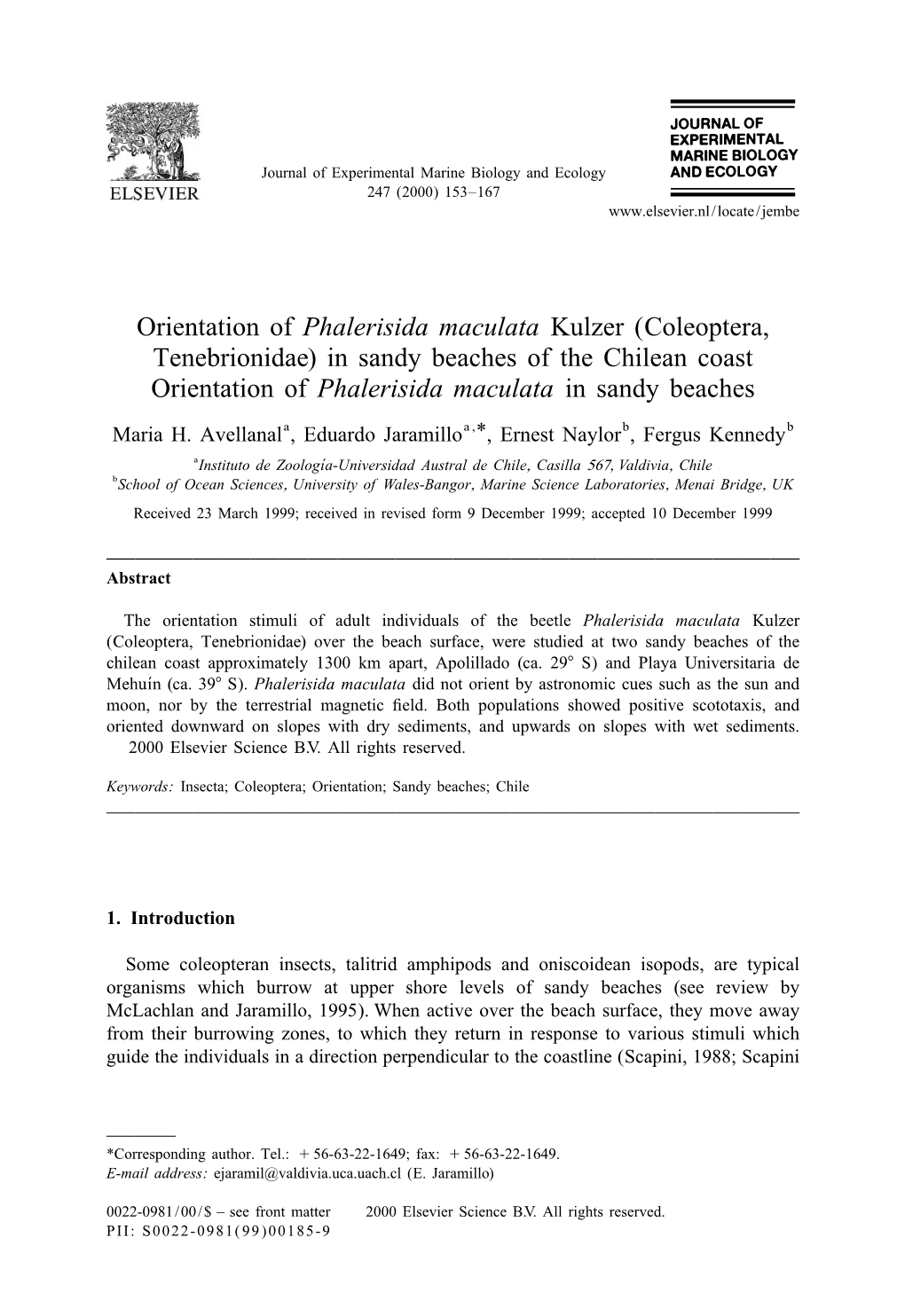 In Sandy Beaches of the Chilean Coast Orientation of Phalerisida Maculata in Sandy Beaches