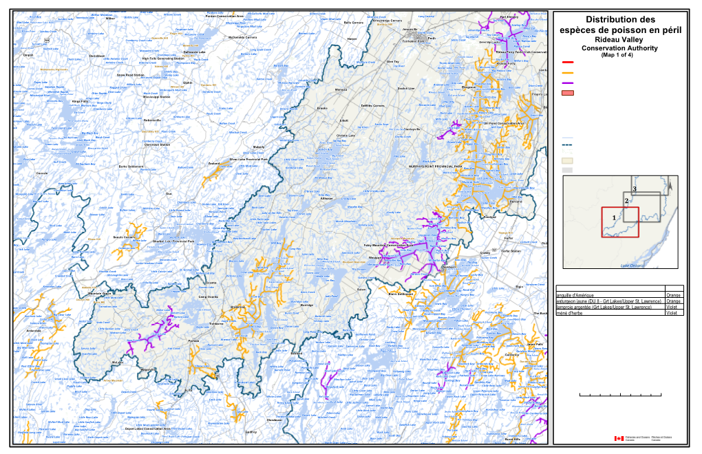 Distribution Des Espèces De Poisson En Péril