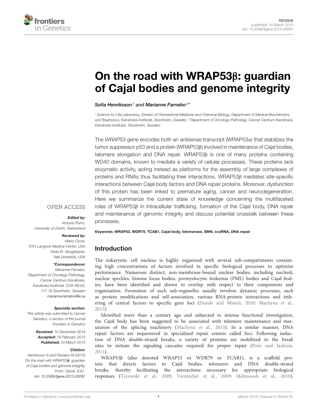 Guardian of Cajal Bodies and Genome Integrity