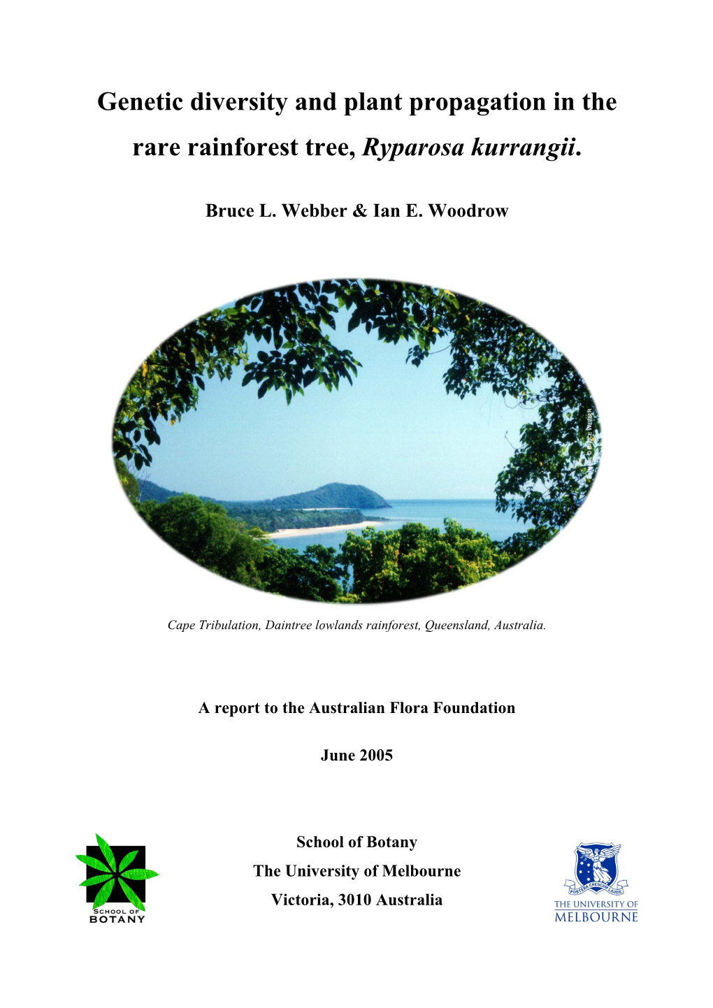 Genetic Diversity and Plant Propagation in the Rare Rainforest Tree, Ryparosa Kurrangii