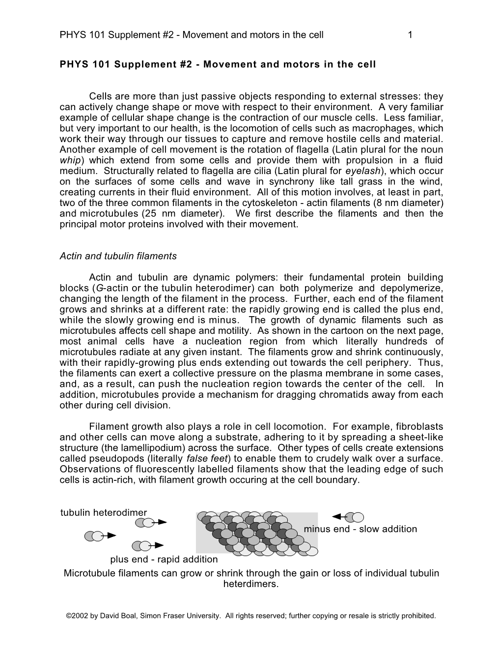 Movement and Motors in the Cell 1 PHYS 101 Supplement #2