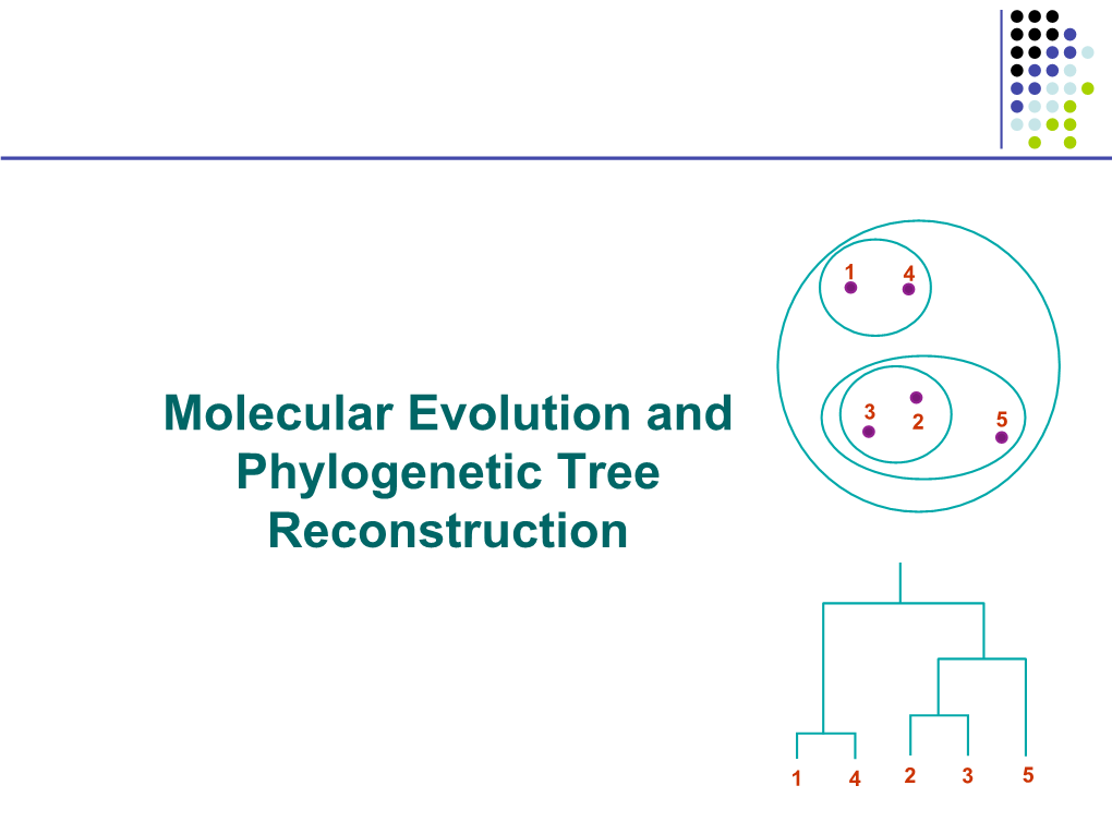 Molecular Evolution and Phylogenetic Tree Reconstruction