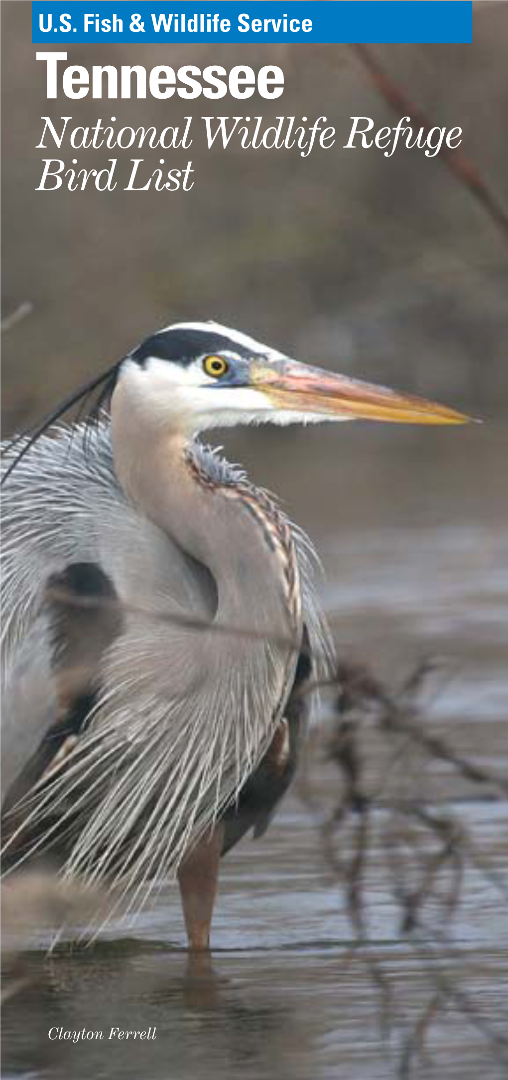 Tennessee National Wildlife Refuge Bird List