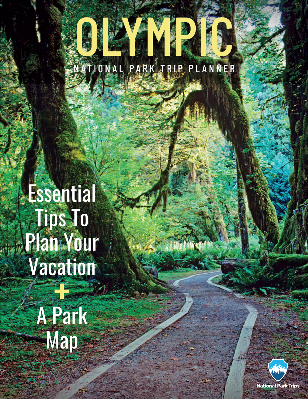 Essential Tips to Plan Your Vacation a Park