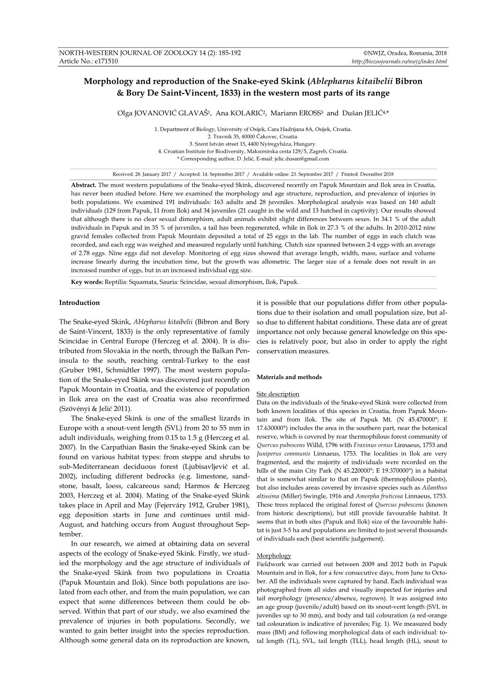 Morphology and Reproduction of the Snake-Eyed Skink (Ablepharus Kitaibelii Bibron & Bory De Saint-Vincent, 1833) in the Western Most Parts of Its Range